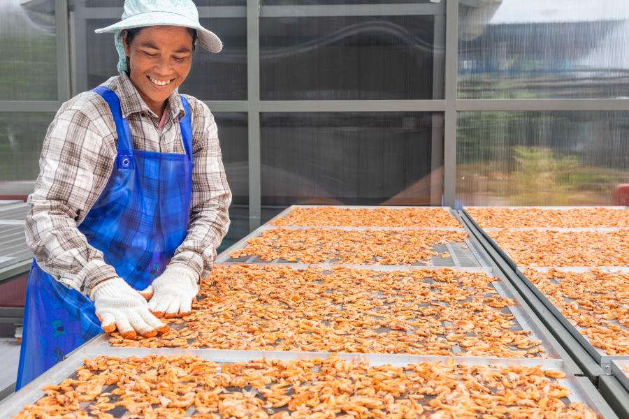 Sperma chiqib ketadi